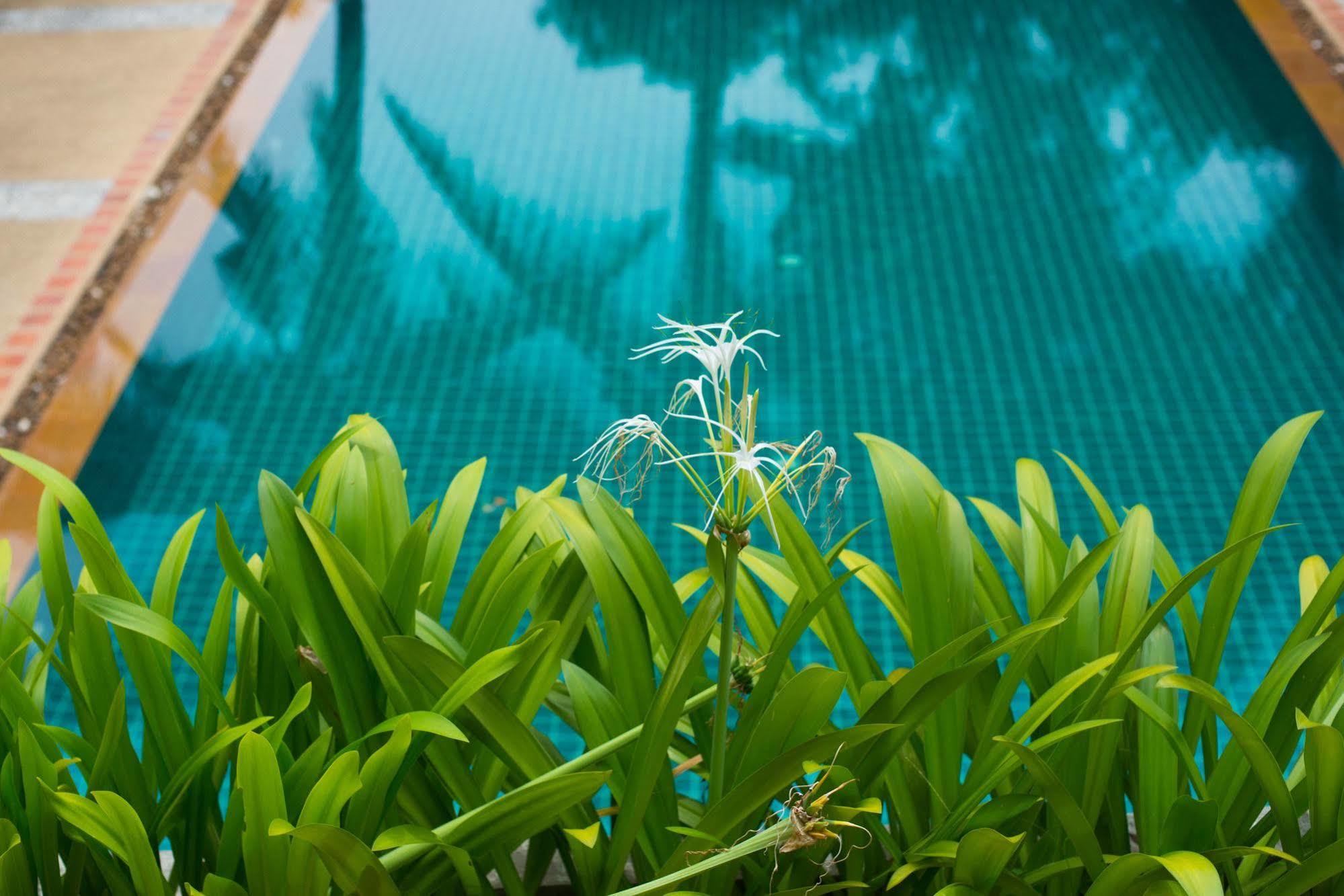 Inter House Hotel Praia de Kata Exterior foto